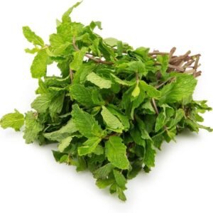 Fresh mint bunch