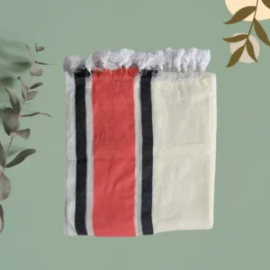 Coral-Charcoal Stripe Ivory Saree