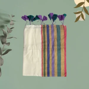 Ivory Jewel-Tone Multistripe Saree.