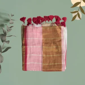 Blush-Copper Colourblock Stripe Saree