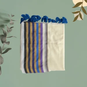 Cream Multistripe Rainbow Border Saree