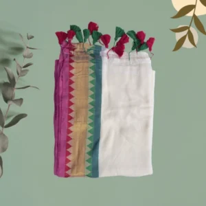 Magenta-Teal Zigzag Border Saree