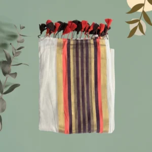 Ivory Coral-Aubergine Stripe Saree